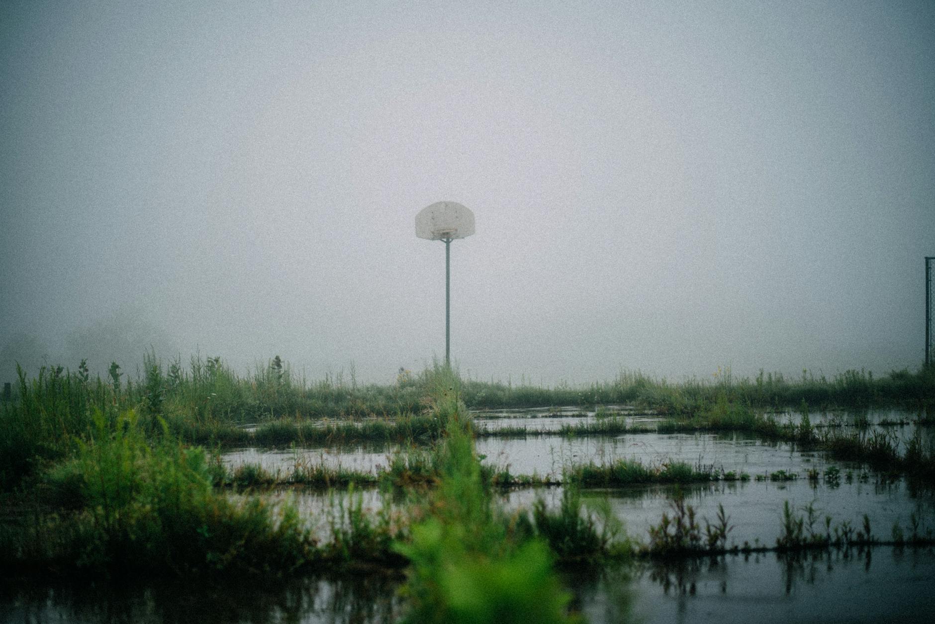 body of water surrounded with grass