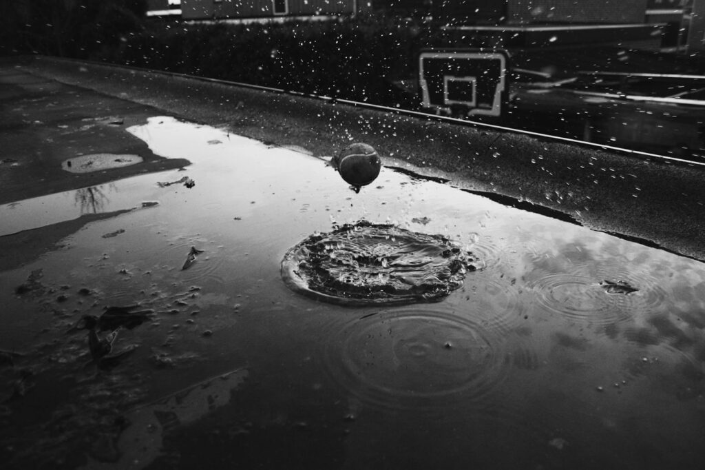 greyscale photo of body of water