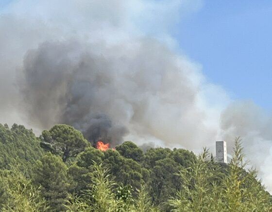 Incendie du 19 juillet 2026