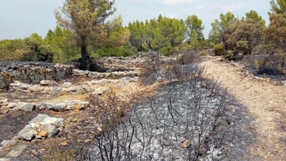 Tarad’oppidum – chantier exceptionnel